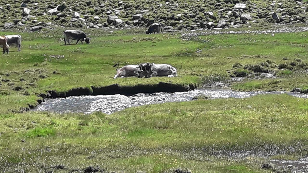 Haus Am Rechten Fleck Kaunertal Eksteriør bilde