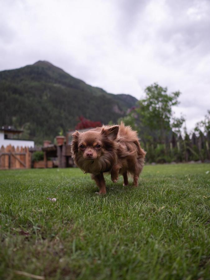 Haus Am Rechten Fleck Kaunertal Eksteriør bilde